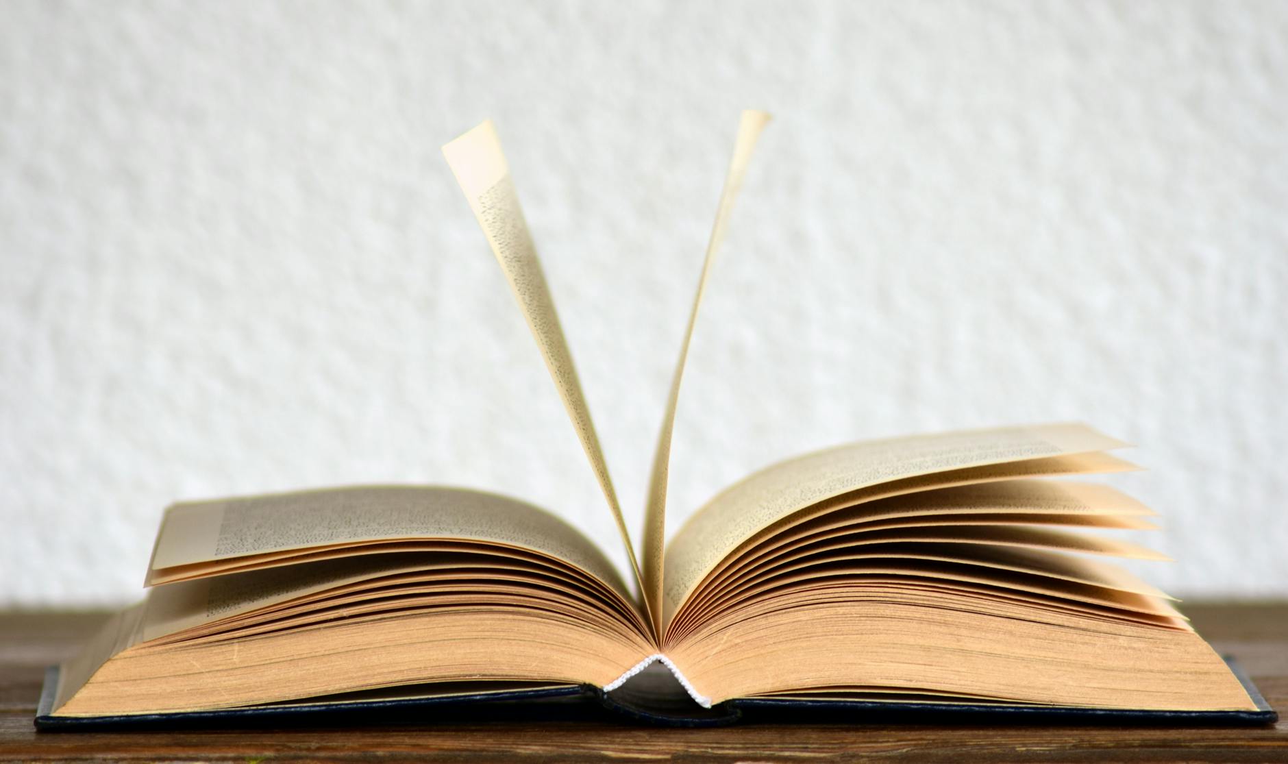 What I Read in 2024